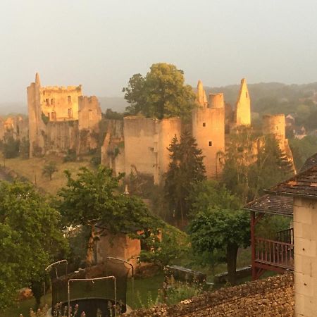 Chez Fred Avec Vue Sur Le Chateau Angles-sur-lʼAnglin المظهر الخارجي الصورة