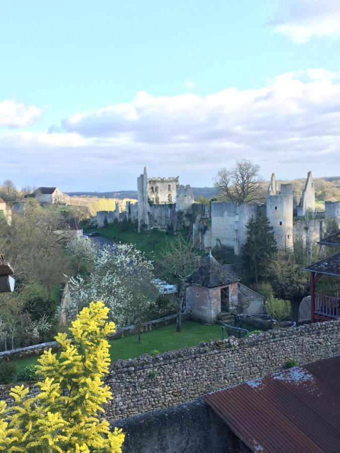 Chez Fred Avec Vue Sur Le Chateau Angles-sur-lʼAnglin المظهر الخارجي الصورة