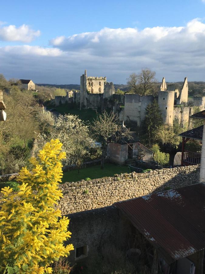 Chez Fred Avec Vue Sur Le Chateau Angles-sur-lʼAnglin المظهر الخارجي الصورة